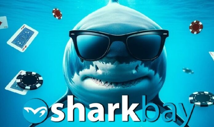 shark-bay